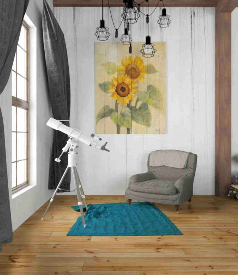 Epic Graffiti 'Summer Sunflowers I on Barn Board' by Albena Hristova, Canvas Wall Art, 26"x34" - Image 2